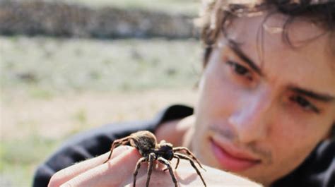 Immer mehr hochgiftige spinnen gelangen durch obst aus übersee nach europa. Die giftigsten Tiere der Welt - Vortrag
