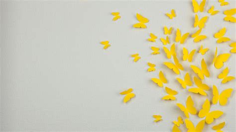 Yellow Butterflies In Ash Background Hd Yellow Wallpapers Hd