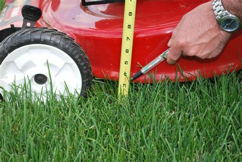 How To Adjust Lawn Mower Height Igra World