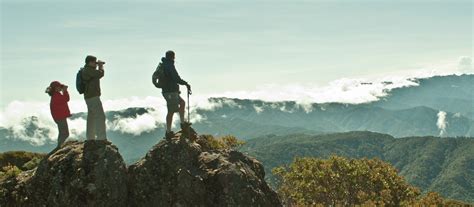 Walking To Cerro De La Muerte Travel Excellence