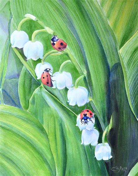 Coccinelle of… baca selengkapnya photos de muguet avec coccinelle / muguet avec coccinelles. Peinture animalière | Artiste Animalier