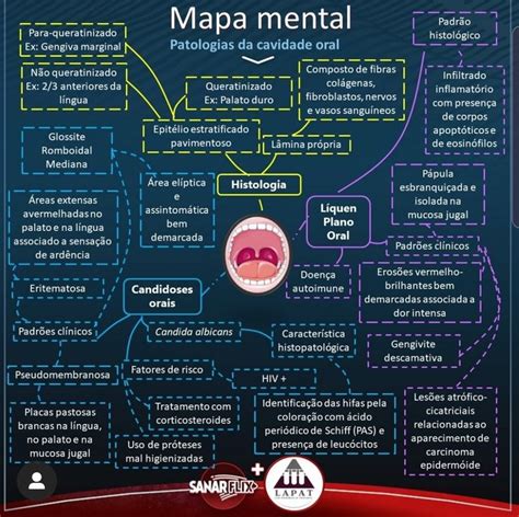 Pin Em Mapa Mental Humanas F7e
