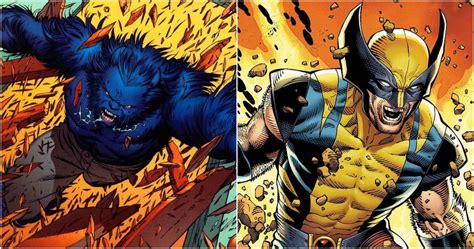 X Men 5 Reasons Why Beast Is The Most Important Team Member And 5 Why