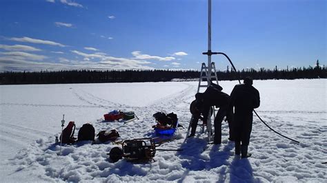 Ice Age Mammoth And Horse Dna Found In Soil Samples Left In Freezer