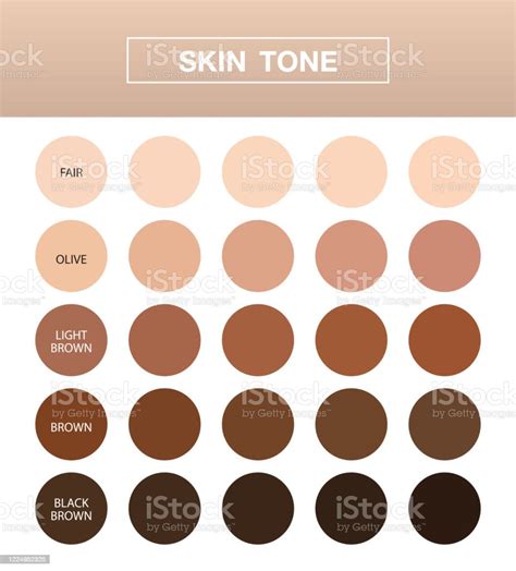 Skin Tone Infographic Color Table Chart Beauty Human Index Vector