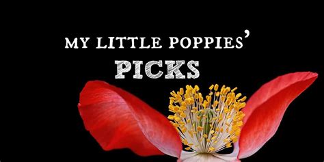 My Little Poppies Picks Weekend Wrap Up My Little Poppies