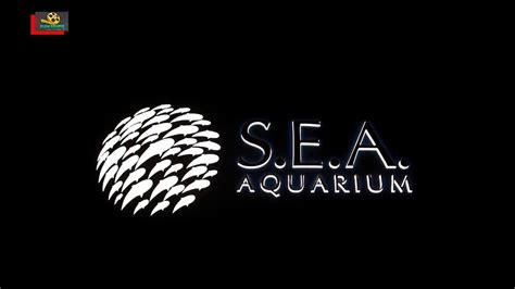 Sea Aquarium The Marine Life Park Sentosa Marine Life Park Sea