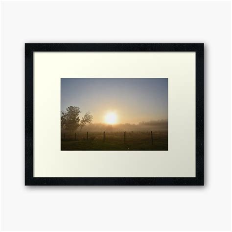 Foggy Morning 3 Framed Art Print By Andrea Anderegg Framed Art