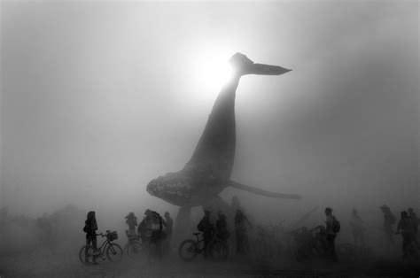 View of whale swimming in sea. MonoVisions Photography Awards - International Black and ...