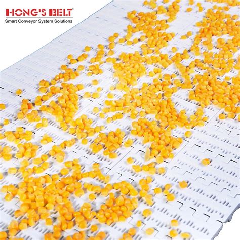 Hongsbelt Conveyor Components Modular Conveyor Belts Plastic For
