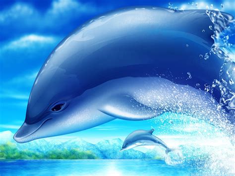 Cute Dolphin Wallpaper ·① Wallpapertag