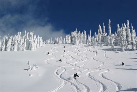 Learn what you need to know to choose the right profile, width, and length to get enter the powder ski. Highland Powder Skiing - Powder Skiing