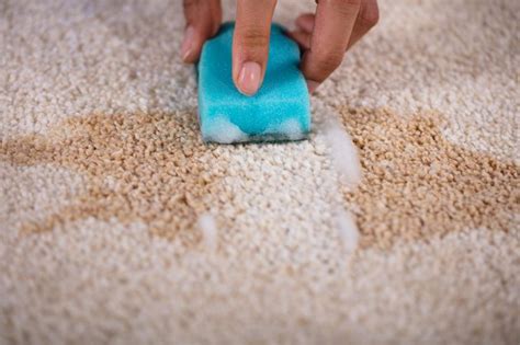 Our company can offer you a service that is second to none, having over 50 years joint experience of being a carpet cleaning essex based. How To Remove Fabric Paint From Carpet Or Rugs | Hunker