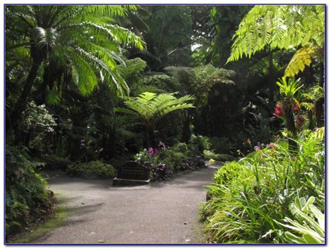 Hawaii Tropical Botanical Garden Wedding Garden Home Design Ideas