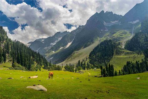 Top 6 Places To Visit In Kashmir On Srinagar Side Trips