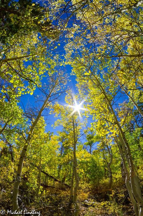 Seasons Promise By Michael Lindberg On 500px Autumn Fall Wonders