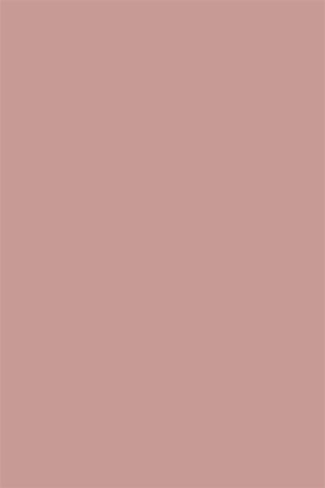 Check spelling or type a new query. Cinder Rose 246 - Heydenrijck Wonen