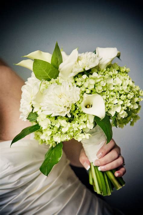 67 Best Images About Wedding Greenery Salal Lemon Leaf