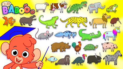 Animal Abc Learn The Alphabet With 26 Animals For Children Alphabet
