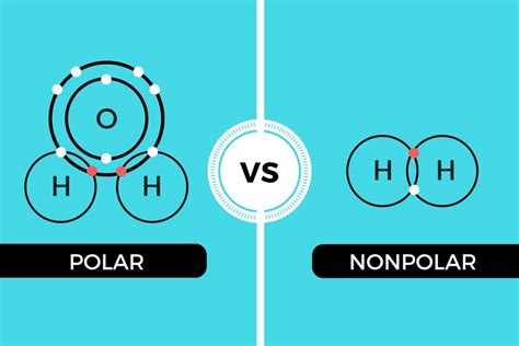 Another example of a polar molecule is ethanol, which is polar due to the fact that the oxygen atoms found within ethanol have a. Polar vs Nonpolar - It's all about sharing, on an atomic level
