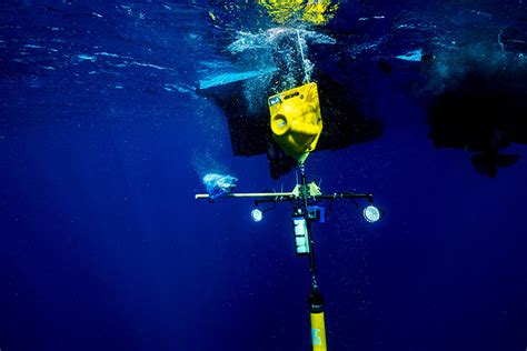 Bios Receives Grant To Study Deep Sea Life Bernews