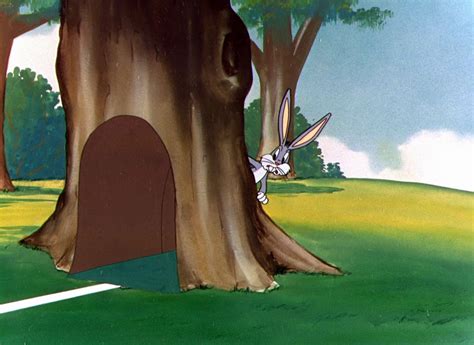 Looney Tunes Pictures Rabbit Transit