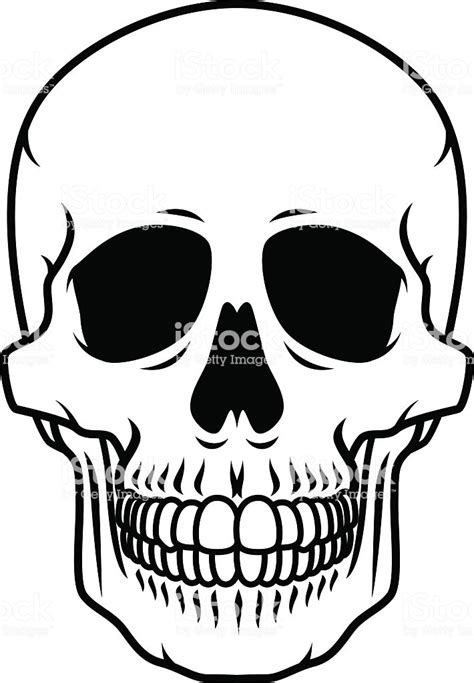 Human Skull Black And White Line Art Icon Stock