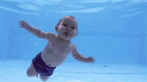 Swim GIF Find Share On GIPHY