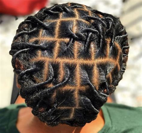 The word 'dreadlocks' seems to imply that this is one hairstyle to stay far away from. Pin by Auschere Barr on Hairstyles | Hair styles, Locs ...