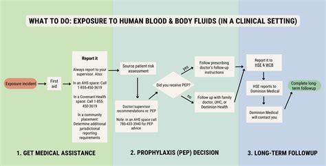 Exposure To Human Blood Other Body Fluid Human Resources Health
