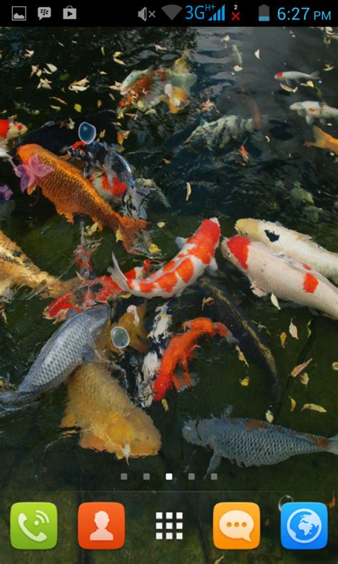 A koi pond is one of the most popular types of garden installations worldwide. Amazon.com: Koi Pond Live Wallpaper Free: Appstore for Android