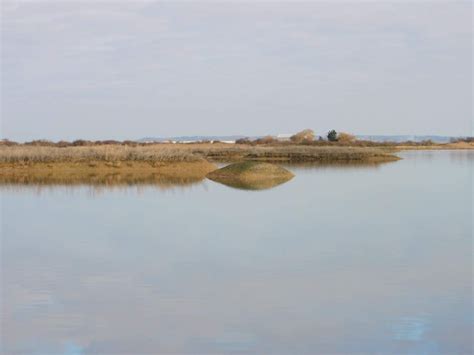 Cliffe Pools Rspb Reserve Guided Walk 29th April 2023 1000 1400