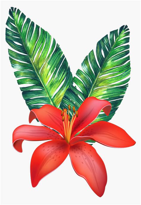 Download #flower #tropical #freetoedit - Vector Tropical Flowers ...