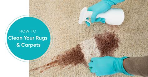 How To Clean Carpet And Rugs Without Professional Help