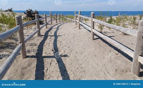 Hanlan S Point Nude Beach View On Toronto Islands Stock Photo Image Of Trip Beach