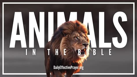 Animals In The Bible That Teach Us Lessons Eternal Bible
