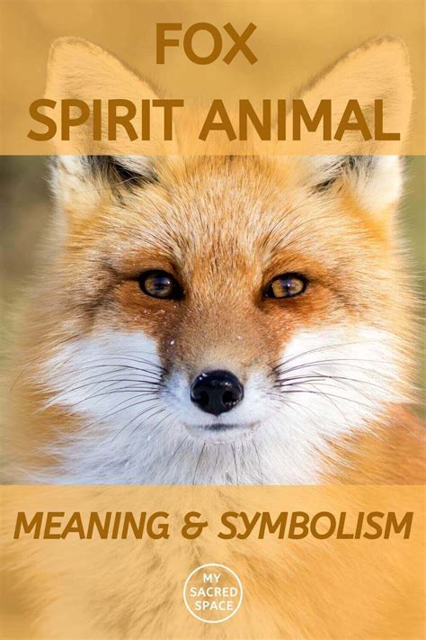 Spirit Animal Fox Meaning And Symbolism My Sacred Space