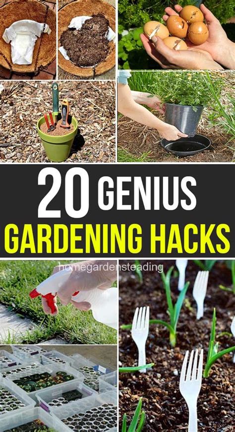 20 Best Gardening Hacks In 2020 Gardening Tips Healthy Garden Hacks