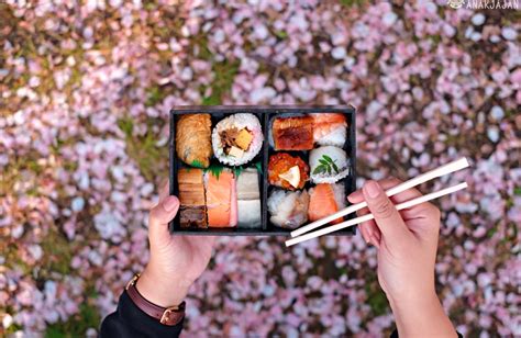Japan Osaka Spring Travel Guide For Best Cherry Blossom Sakura