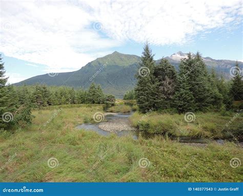 Mountain Range With Forests And Stream Lush Temperate Rainforest In
