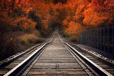 Pin By Hirotsugu Sudo On Photography Train Tracks Scenery Fall Photos