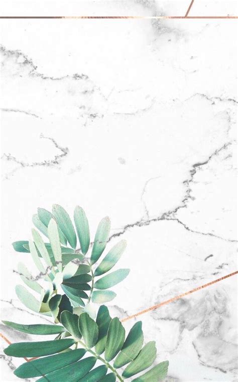 Simple Clean Minimalist White Marble I Phone Wallpaper With Rose