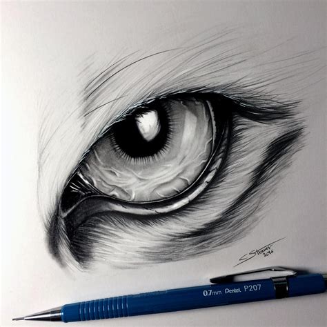Tiger Eye Drawing By Lethalchris On Deviantart