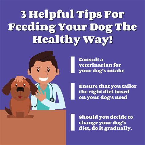 3 Helpful Tips For Feeding Your Dog The Healthy Way Business