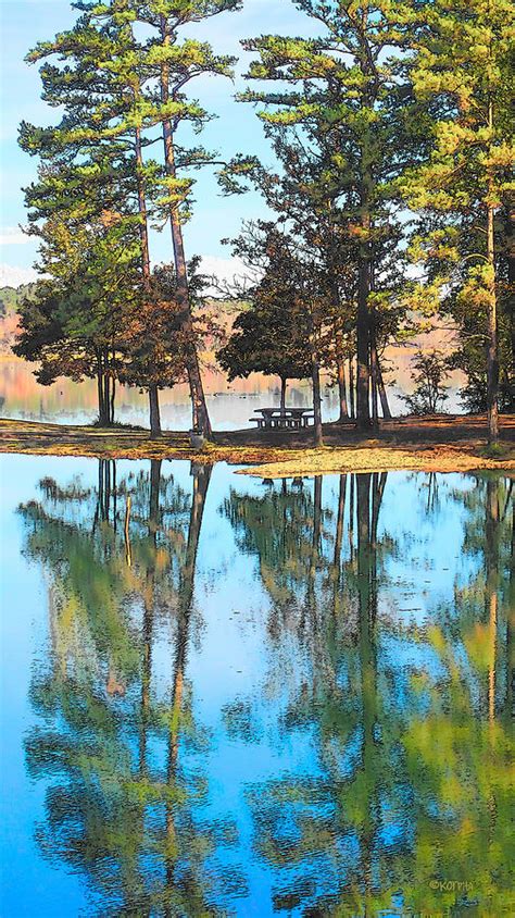 Pine Tree Water Reflections Photograph By Rebecca Korpita Fine Art