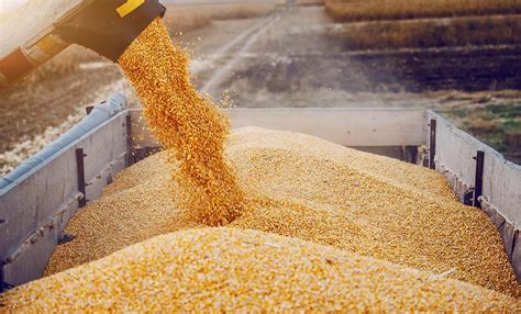 How To Buy Corn Futures Tradestation