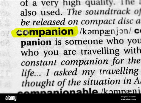 Highlighted Word Companion Concept And Meaning Stock Photo Alamy