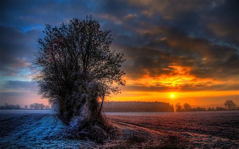 Frosty Sunset Wallpaper 1920x1200 30353