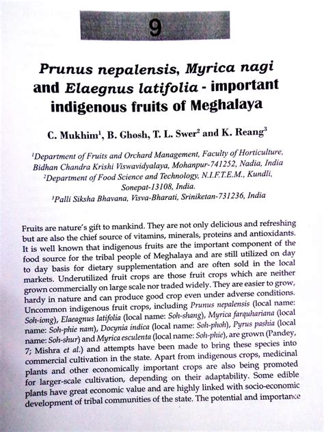 Pdf Prunus Nepalensis Myrica Nagi And Elaegnus Latifolia Important