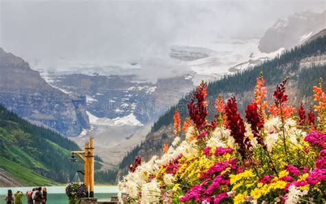 Colorful Flowers At Lake Louise Stock Photo Image Of Landscape